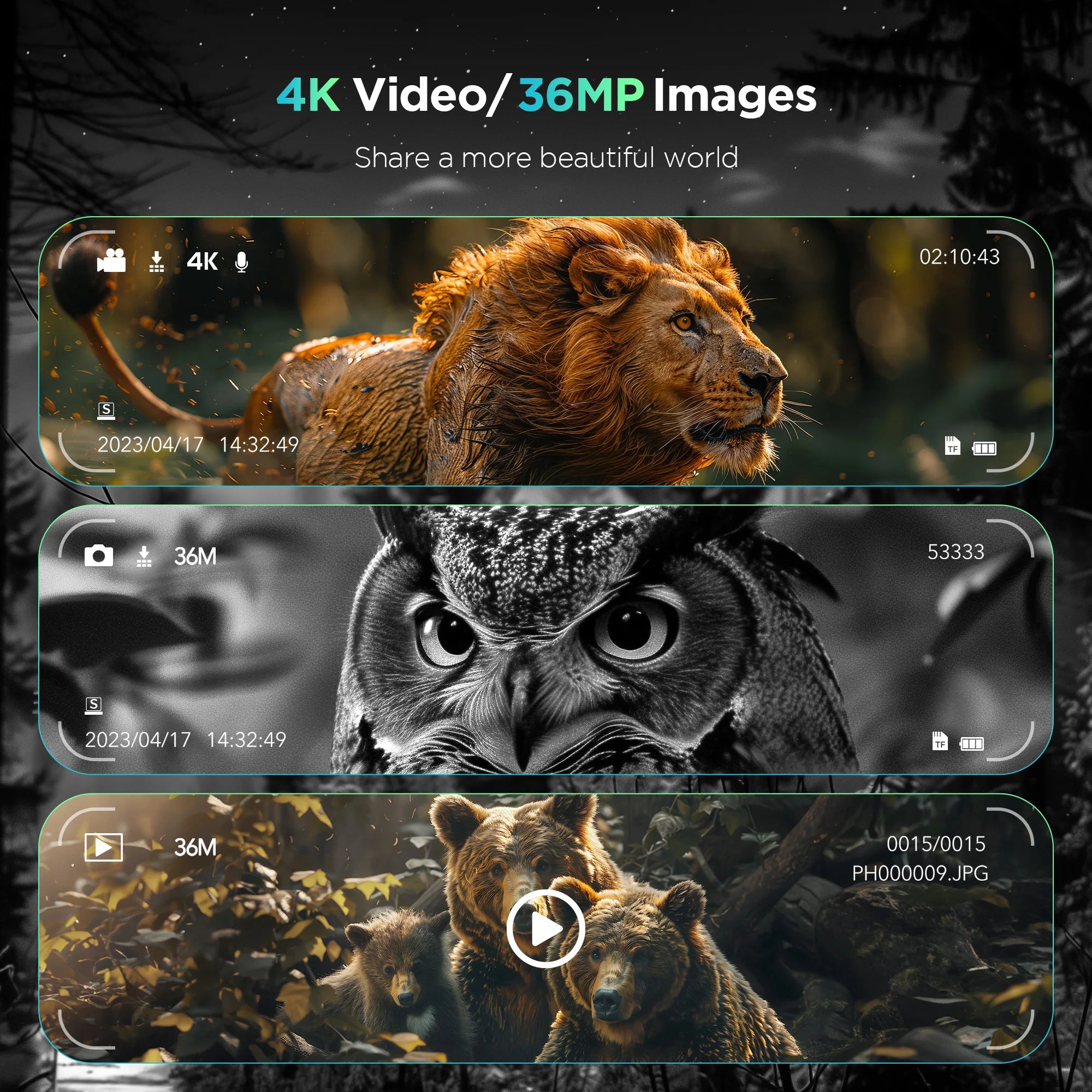 Night Vision Binoculars